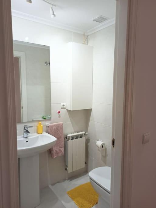 Bajo Con Jardin Privado Lägenhet Santander Exteriör bild