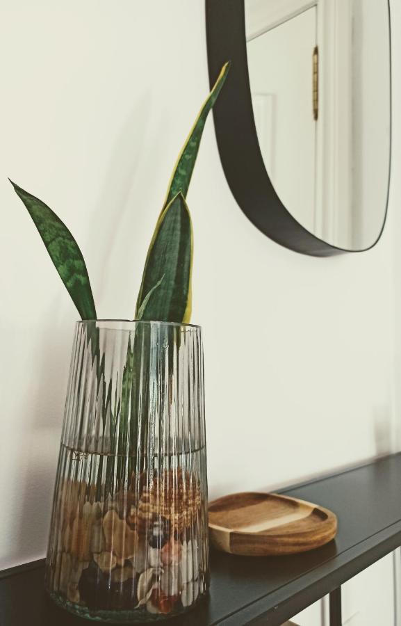 Bajo Con Jardin Privado Lägenhet Santander Exteriör bild