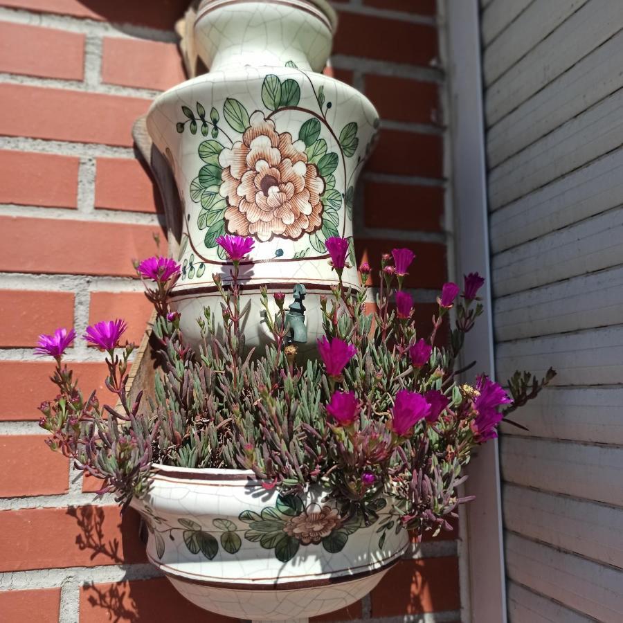 Bajo Con Jardin Privado Lägenhet Santander Exteriör bild
